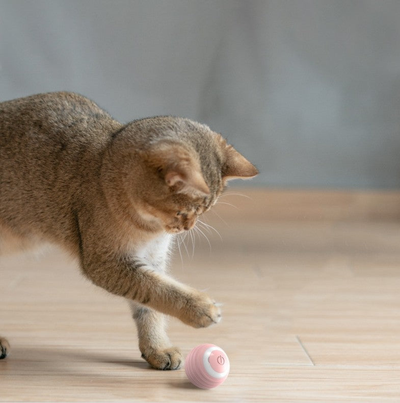 Pet Toy Automatic Teasing Ball